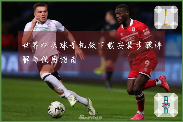 世界杯买球手机版下载安装步骤详解与使用指南