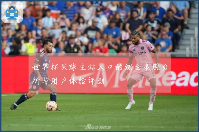 世界杯买球主站入口的综合表现分析与用户体验评测