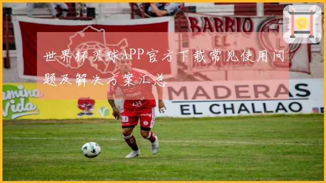世界杯买球APP官方下载常见使用问题及解决方案汇总