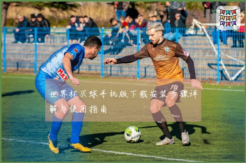 世界杯买球手机版下载安装步骤详解与使用指南