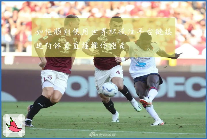 如何顺利使用世界杯投注平台链接进行体育直播操作指南